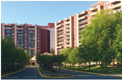 Renaissance 2230 in Falls Church, VA - Building Photo - Building Photo