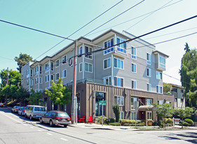 City View Apartments