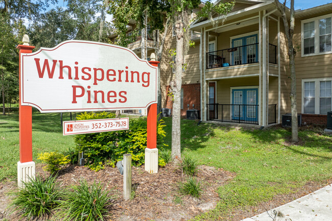 A3443 Whispering Pines in Gainesville, FL - Building Photo - Other