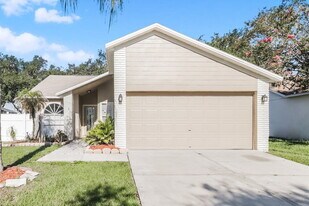 1253 Salt Clay Ct in Wesley Chapel, FL - Building Photo