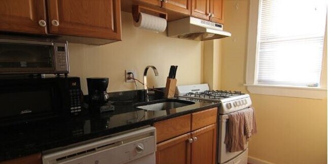 158 Magazine St, Unit 6 in Cambridge, MA - Building Photo - Building Photo