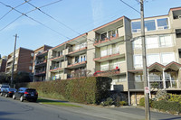 530 W Olympic Plz in Seattle, WA - Building Photo - Building Photo