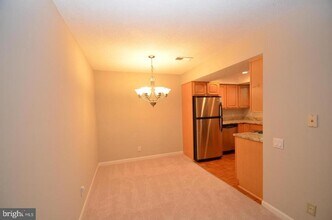 3907 Golf Tee Ct in Fairfax, VA - Building Photo - Building Photo