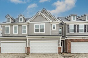 5917 Hawkweed Dr in Naperville, IL - Building Photo