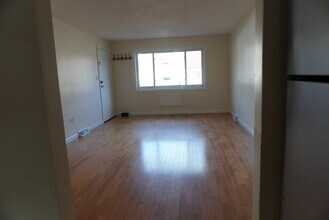 33 Oxford Cir in Belmont, MA - Building Photo - Building Photo