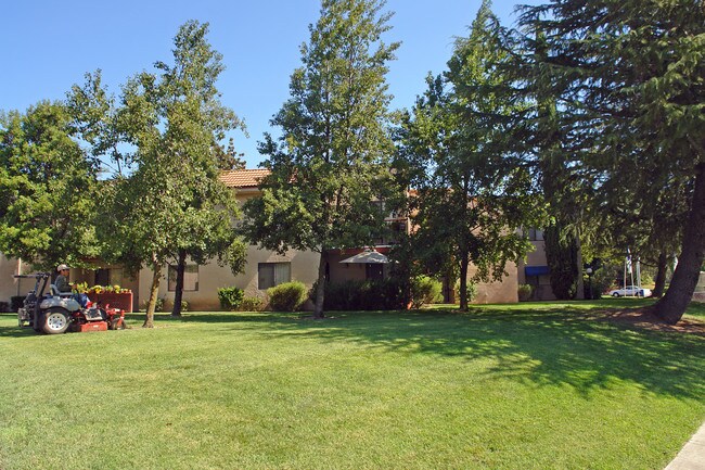 Courtyards at Venetian Terrace SENIORS 55+ in Stockton, CA - Building Photo - Building Photo