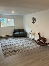 6910 County Road 37 in Springwater, NY - Building Photo - Building Photo