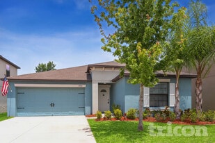 10034 Carloway Hills Dr in Wimauma, FL - Building Photo