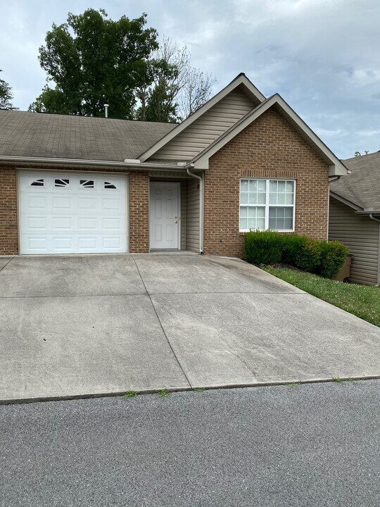 3715 Willow Falls Way, Unit condo in Knoxville, TN - Building Photo