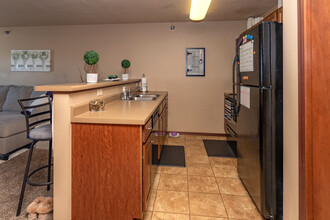 Mirada Manor Apartments in Sioux Falls, SD - Building Photo - Interior Photo