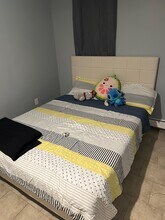 40 Myrtle Ave, Unit Lower Level in Albany, NY - Foto de edificio - Building Photo