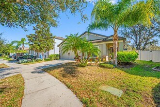 11652 Palmetto Pine St in Riverview, FL - Building Photo - Building Photo