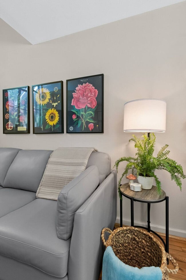 243 S Gregg Ave in Fayetteville, AR - Building Photo - Building Photo