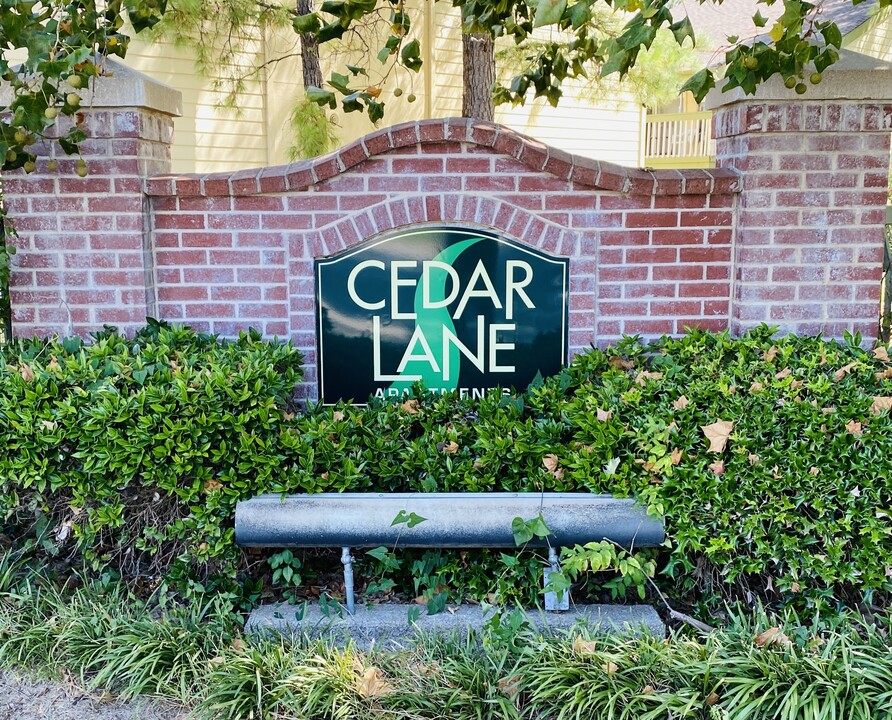 Cedar Lane in Tulsa, OK - Building Photo