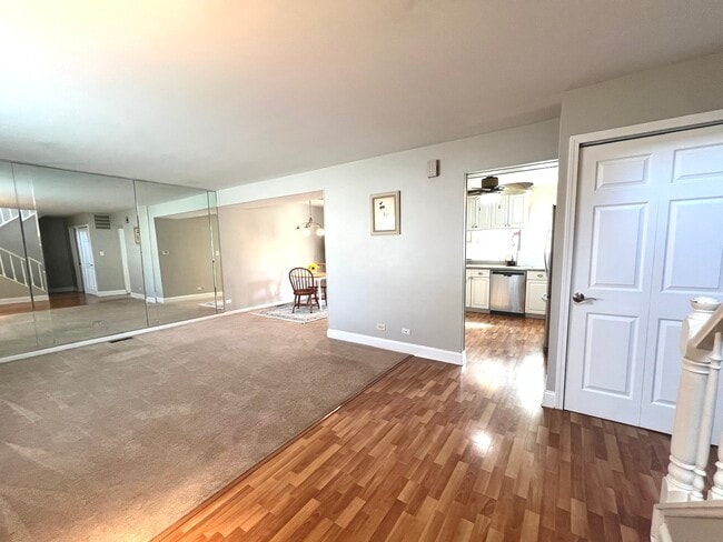 1669 Cape Breton Ct in Hoffman Estates, IL - Building Photo - Building Photo