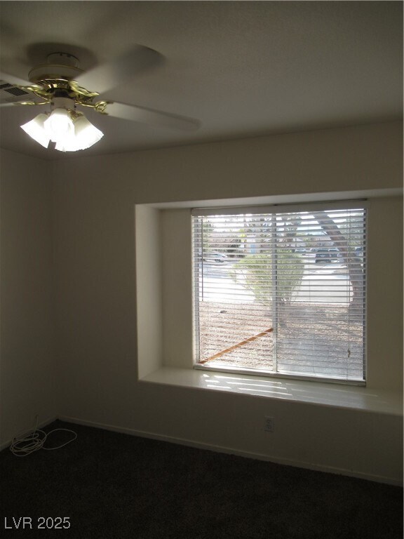 property at 4924 Lone Vista Way