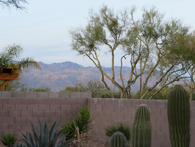 97 S Shadow Creek Pl in Tucson, AZ - Building Photo - Building Photo