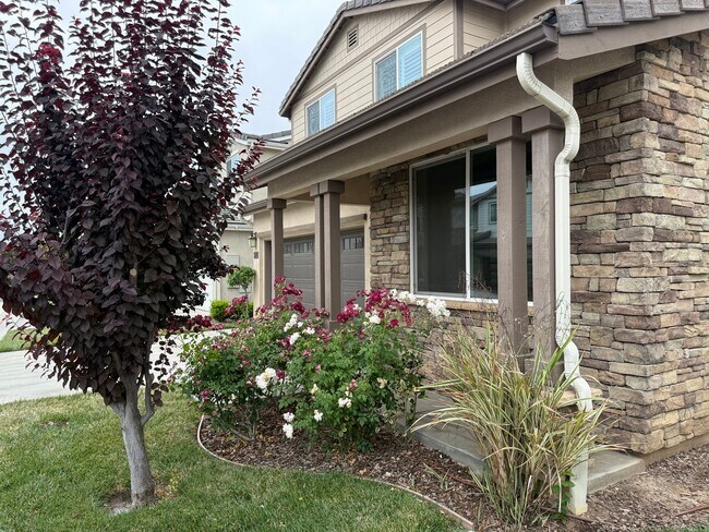 6753 Rhea Ct in Los Angeles, CA - Foto de edificio - Building Photo