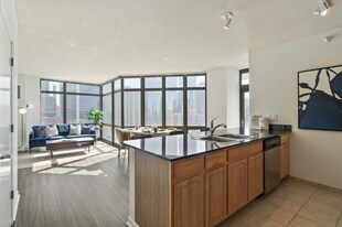 335 N Desplaines St in Chicago, IL - Building Photo