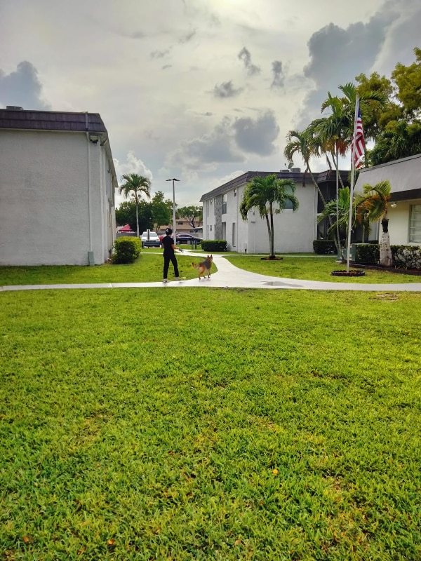 10395 N Kendall Dr in Miami, FL - Foto de edificio - Building Photo