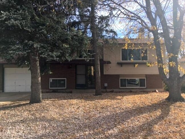 1519 McKay Way in Colorado Springs, CO - Building Photo - Building Photo