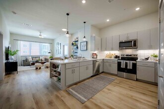 The Janis in Austin, TX - Foto de edificio - Building Photo