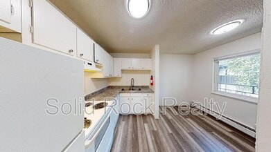 1411 S Corona Ave in Colorado Springs, CO - Building Photo - Building Photo