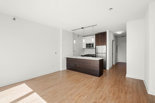 251 N Garland Ct in Chicago, IL - Foto de edificio - Building Photo