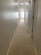 14916 Salamander Pl in Tampa, FL - Building Photo - Building Photo