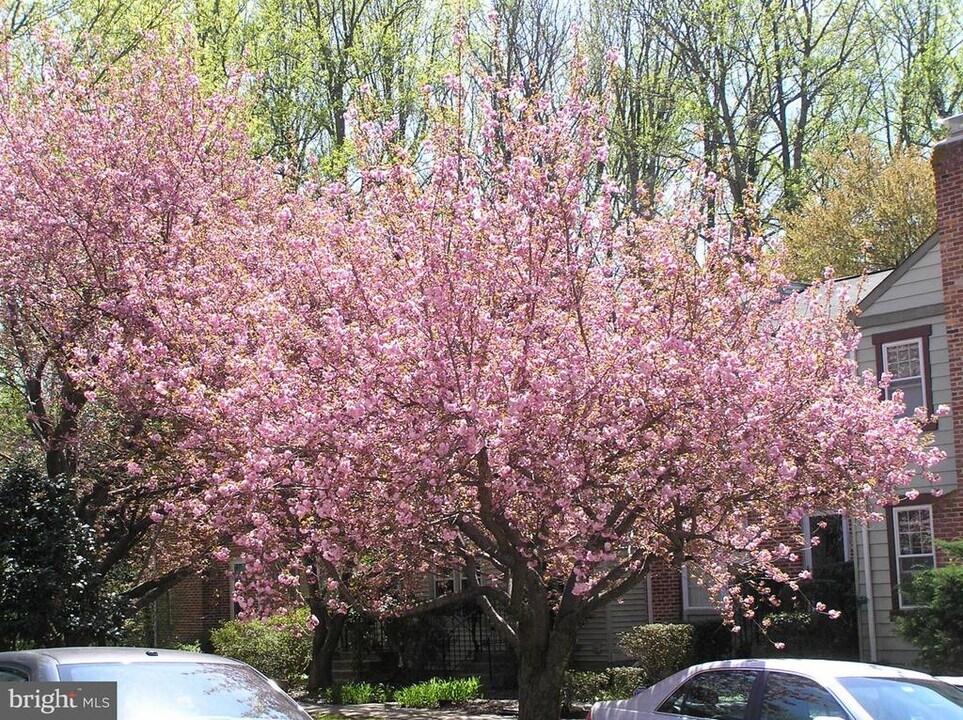 10053 Chestnut Wood Ln in Burke, VA - Building Photo