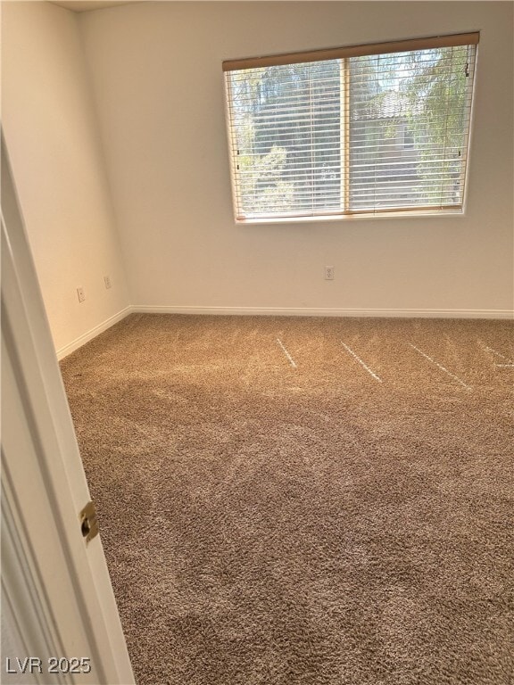 property at 248 Vertigo Tulip Ct