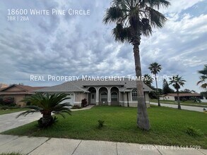 18600 White Pine Cir in Hudson, FL - Building Photo - Building Photo