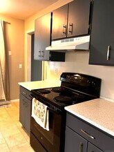 38 Library Ln in Simsbury, CT - Building Photo - Building Photo