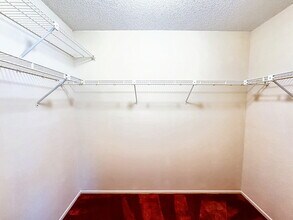 4819 Prince George Cir in New Port Richey, FL - Building Photo - Building Photo