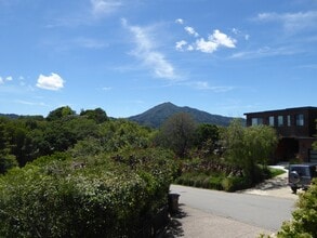 320 Vista Grande in Kentfield, CA - Building Photo - Building Photo