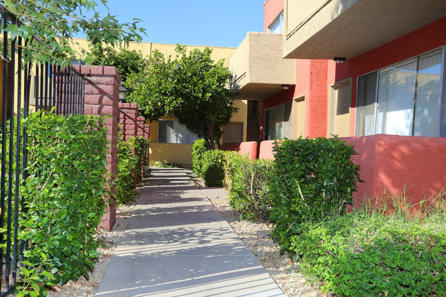 Sunflower Apartments in Glendale, AZ - Foto de edificio - Building Photo
