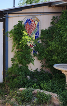 26 Park Rd in Edgewood, NM - Building Photo - Building Photo