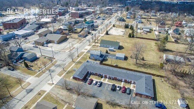 207 Van Nest St in Dundee, MI - Building Photo - Building Photo