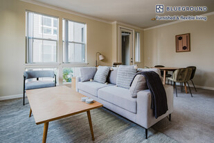 337 S Fremont St in San Mateo, CA - Building Photo