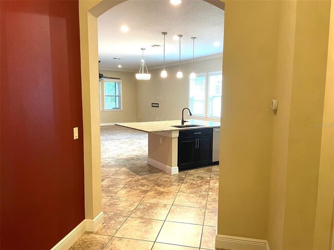 11522 Quiet Forest Dr in Tampa, FL - Building Photo - Building Photo