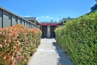 Sutter Gardens in Palo Alto, CA - Building Photo - Building Photo