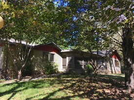 4138 N Mills River Rd in Mills River, NC - Building Photo