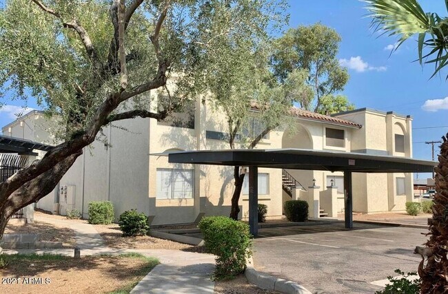 10814 N 16th Ave in Phoenix, AZ - Building Photo - Building Photo