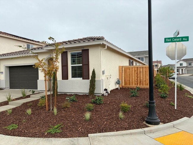 3000 Red Canard Wy in Roseville, CA - Building Photo - Building Photo