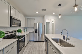 30089 Skylark Dr in Wesley Chapel, FL - Building Photo - Building Photo