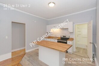 29 Elm St in Albany, NY - Building Photo - Building Photo