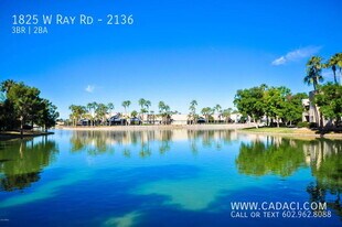 1825 W Ray Rd in Chandler, AZ - Building Photo