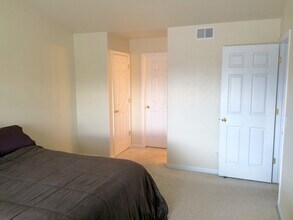 1343 Lake Circle in Windsor, CO - Building Photo - Building Photo