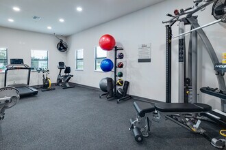 The Grove in Nokomis, FL - Foto de edificio - Interior Photo