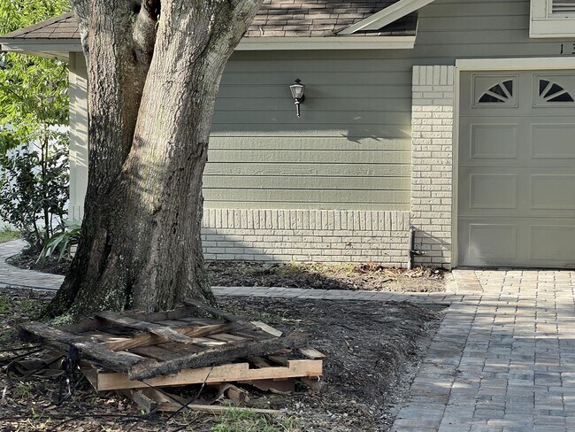 1303 Creekbottom Cir in Orlando, FL - Building Photo - Building Photo